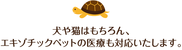 和歌山県岩出市の動物病院 つるかめ動物病院