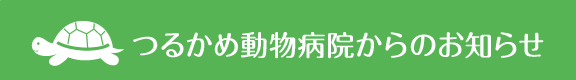 和歌山県岩出市の動物病院 つるかめ動物病院